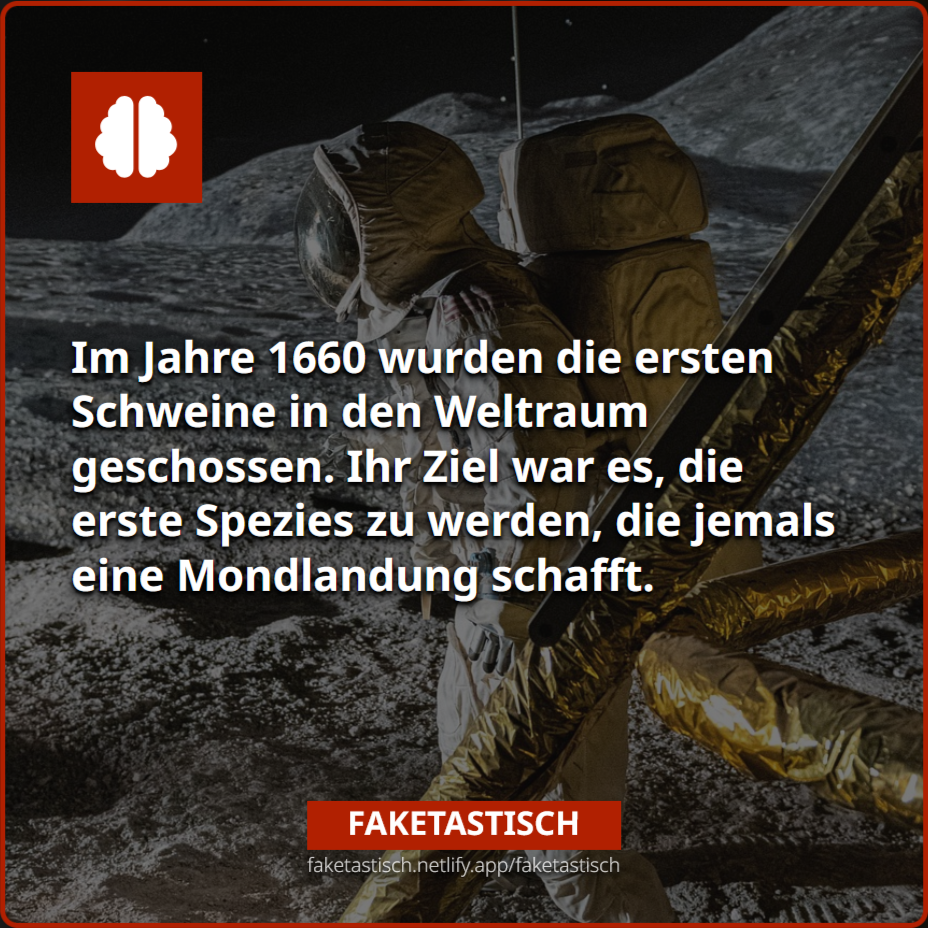 fact 3