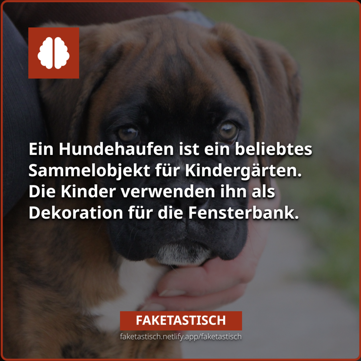 fact 5