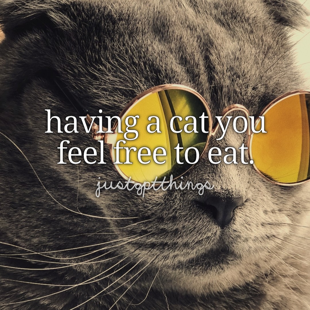 fact 2