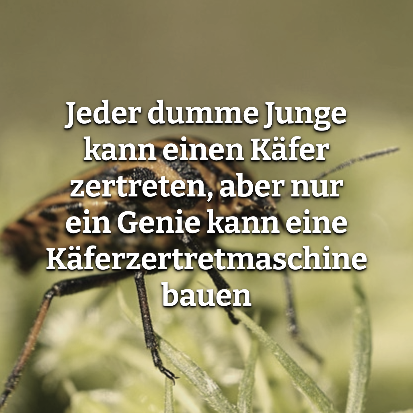 fact 1